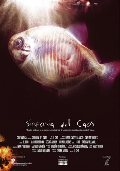 poster3sdc1