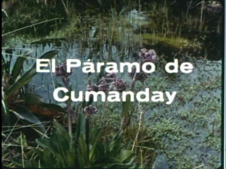 El p ramo de Cumanday TV C 134923061 large1