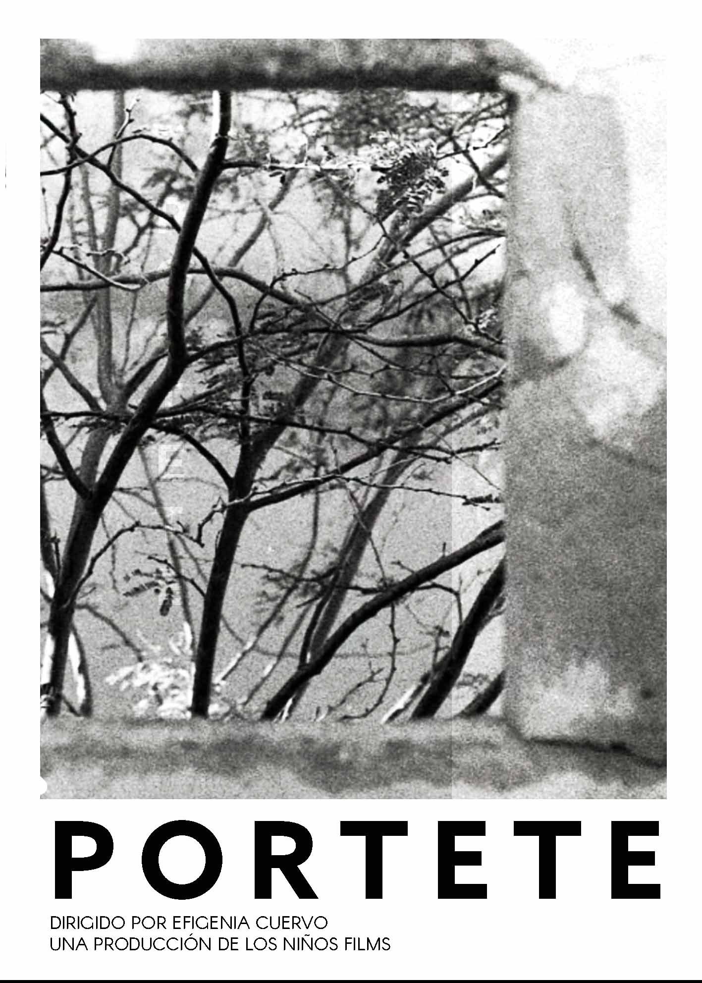 poster portete (1)