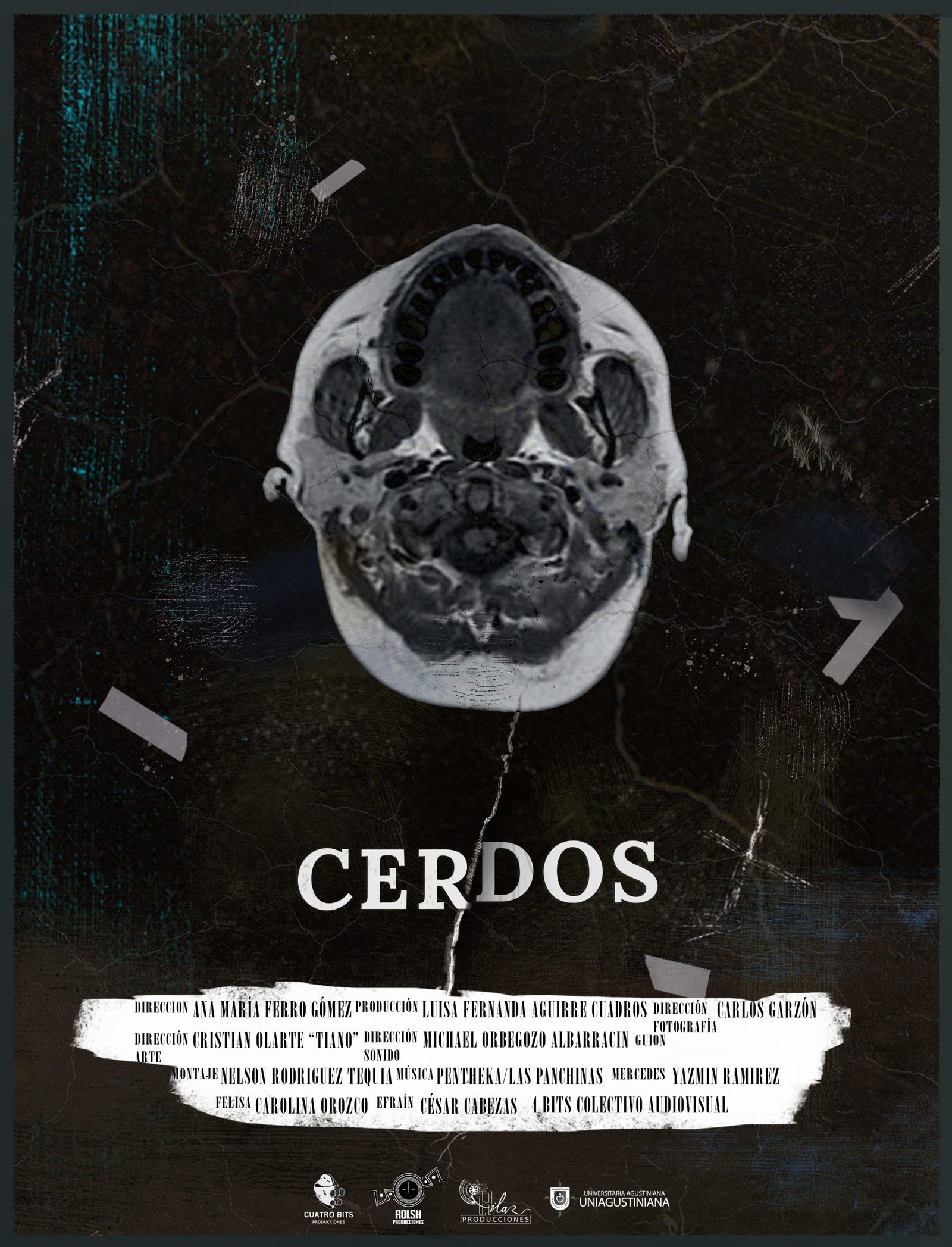 CERDOS