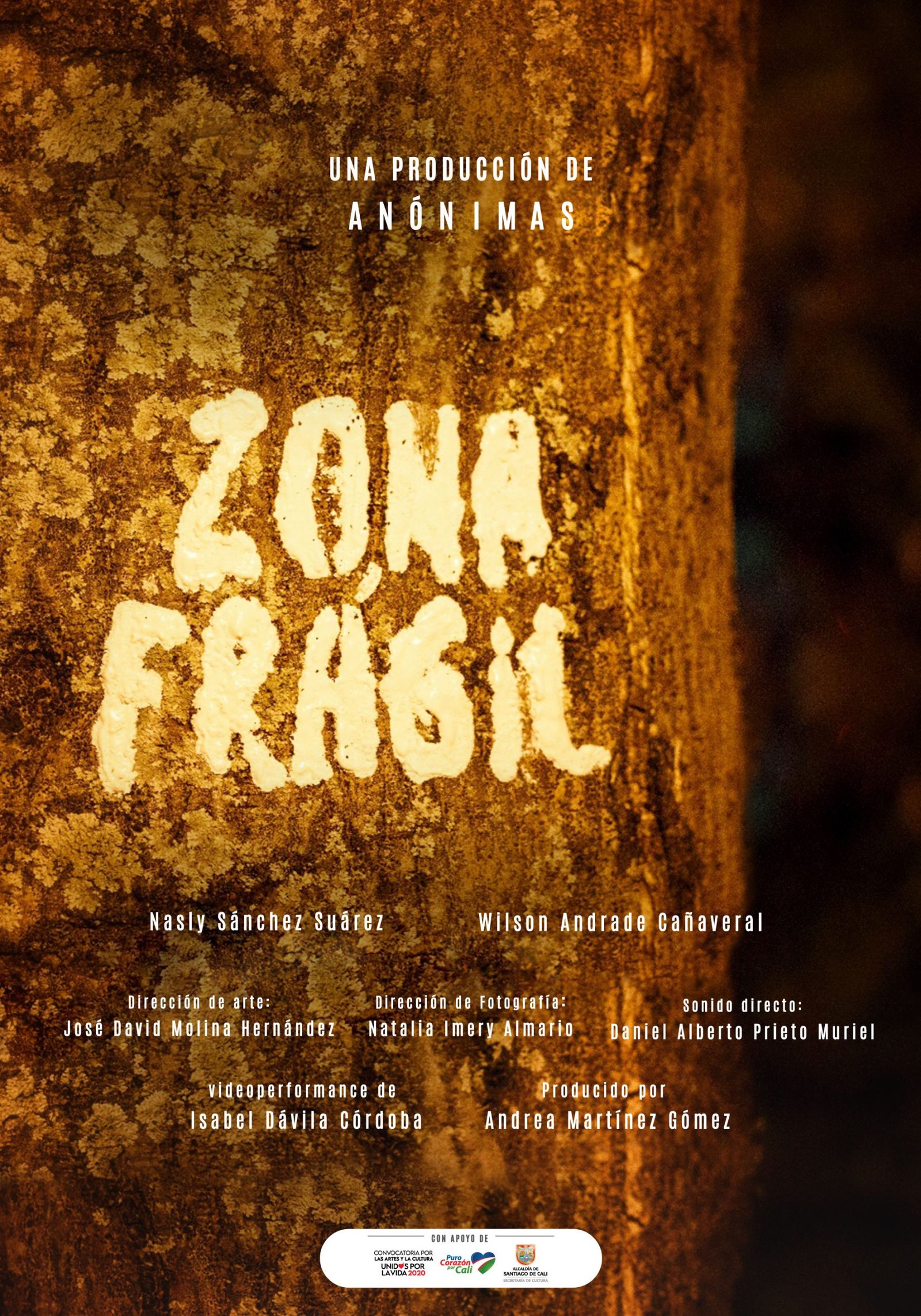 Zona Fragil