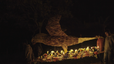 Luminaria