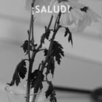 Poster ¡Salud!