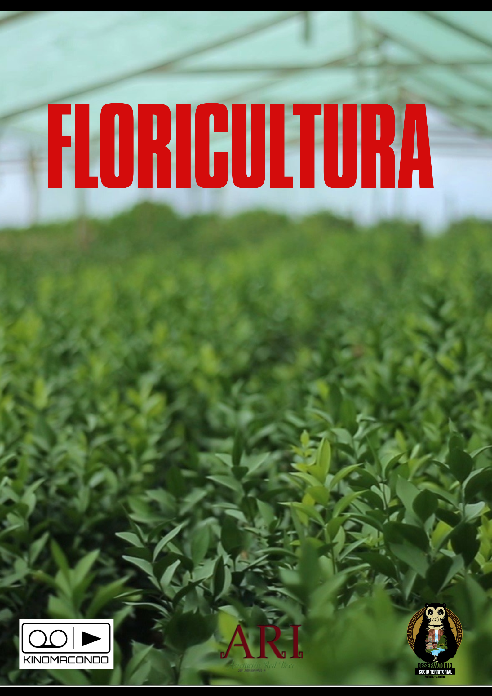 Floricultura