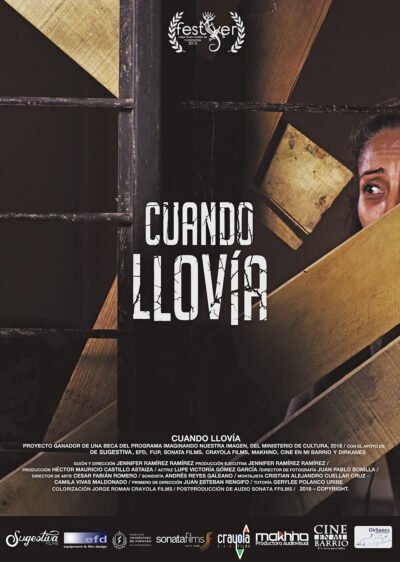 Anexo 8 Poster Cuando Llovia