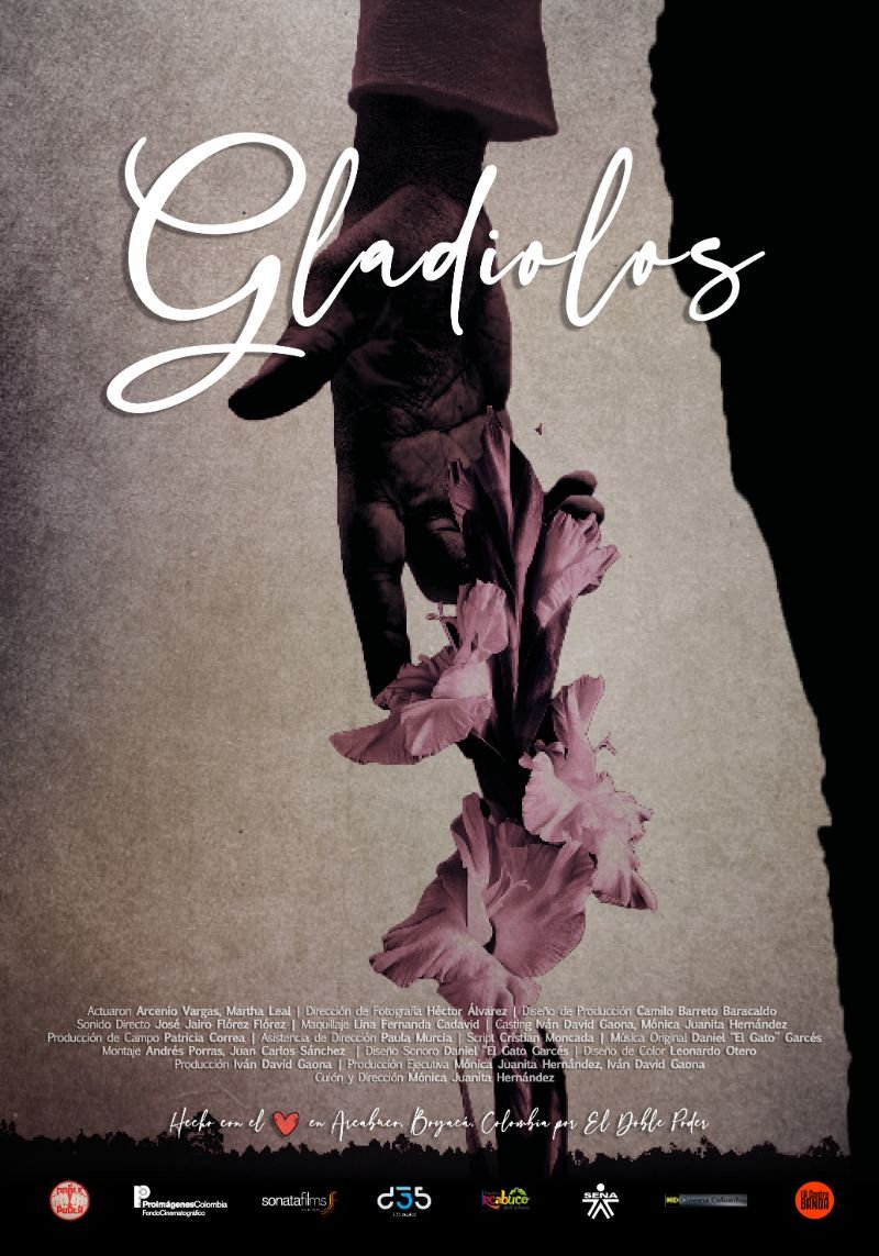 Gladiolos 1 poster gladiolos