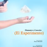 01 (el experimento)