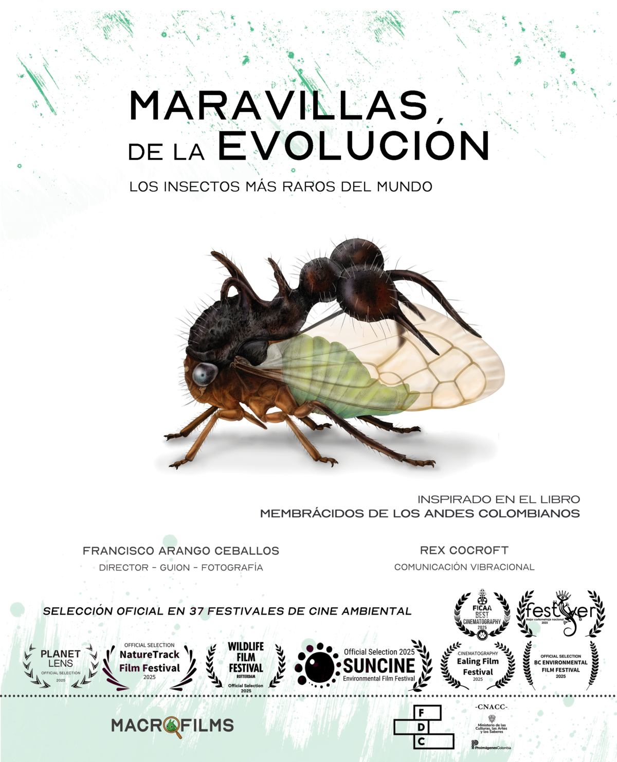 Cartel corto 2026