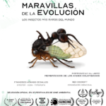 Cartel corto 2026
